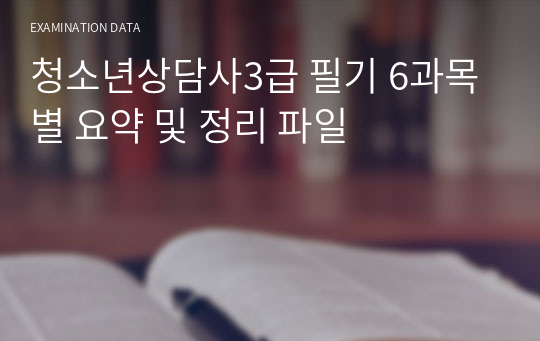 청소년상담사3급 필기  합격자 6과목별 요약 및 정리 파일