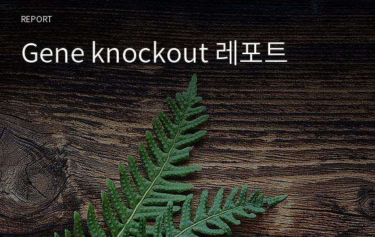 Gene knockout 레포트