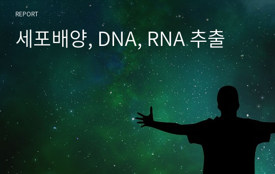 세포배양, DNA, RNA 추출