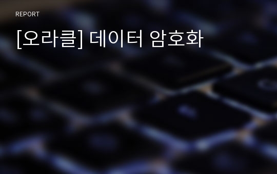 [오라클] 데이터 암호화