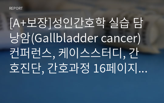 [A+보장]성인간호학 실습 담낭암(Gallbladder cancer) 컨퍼런스, 케이스스터디, 간호진단, 간호과정 16페이지 자료입니다.