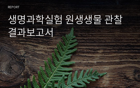 생명과학실험 원생생물 관찰 결과보고서