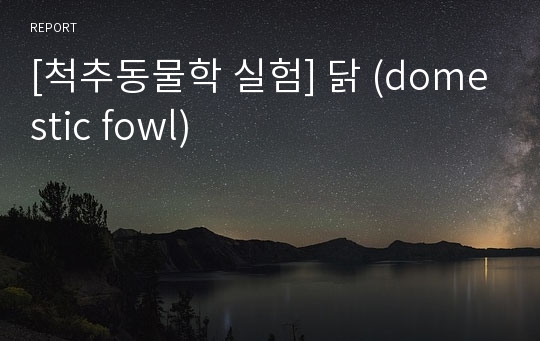 [척추동물학 실험] 닭 (domestic fowl)