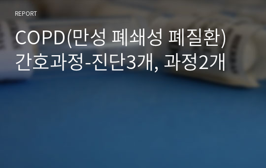 A+ COPD(만성 폐쇄성 폐질환) 간호과정-진단3개, 과정2개