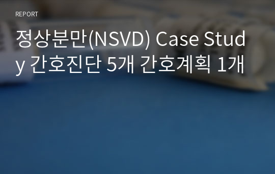 정상분만(NSVD) Case Study 간호진단 5개 간호계획 1개