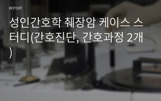 성인간호학 췌장암 케이스 스터디(간호진단, 간호과정 2개)