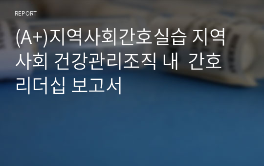 (A+)지역사회간호실습 지역사회 건강관리조직 내  간호 리더십 보고서