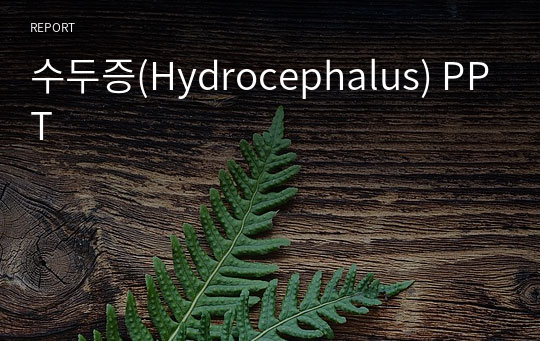 수두증(Hydrocephalus) PPT