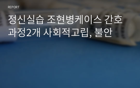 정신실습 조현병케이스 간호과정2개 사회적고립, 불안