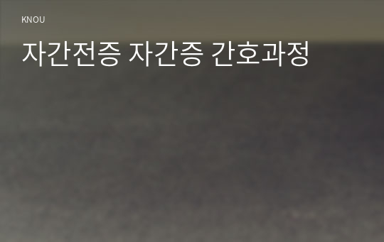 자간전증 자간증 간호과정