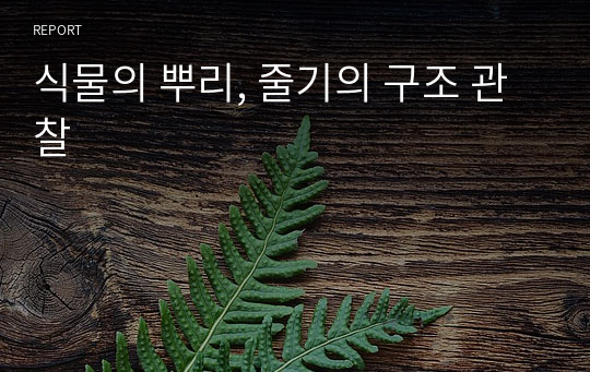 식물의 뿌리, 줄기의 구조 관찰