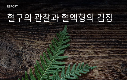 혈구의 관찰과 혈액형의 검정