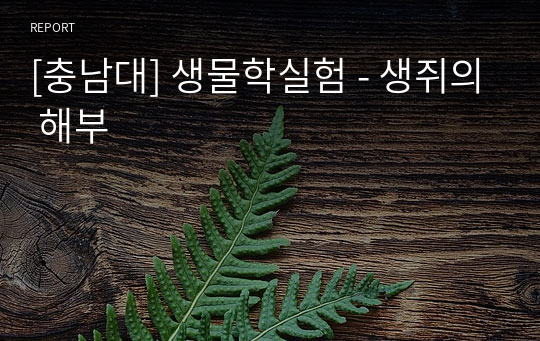 [충남대] 생물학실험 - 생쥐의 해부