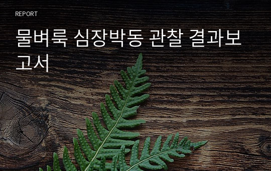 물벼룩 심장박동 관찰 결과보고서