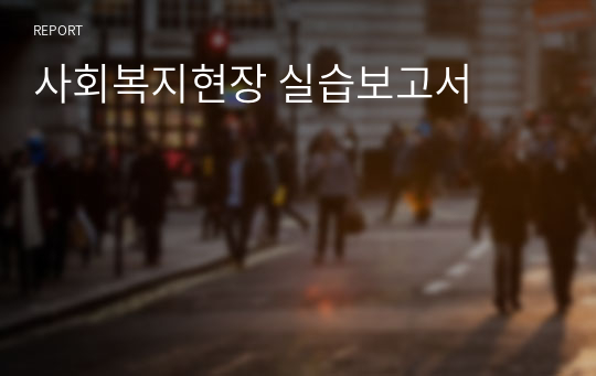 사회복지현장 실습보고서