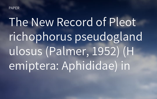 The New Record of Pleotrichophorus pseudoglandulosus (Palmer, 1952) (Hemiptera: Aphididae) in South Korea