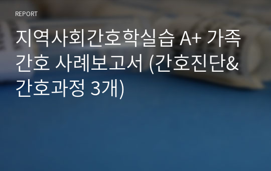 지역사회간호학실습 A+ 가족간호 사례보고서 (간호진단&amp;간호과정 3개)