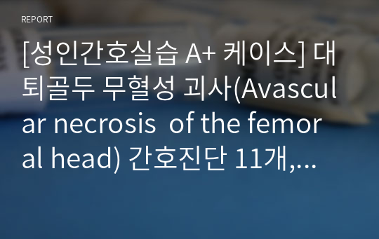 [성인간호실습 A+ 케이스] 대퇴골두 무혈성 괴사(Avascular necrosis  of the femoral head) 간호진단 11개, 간호과정 2개