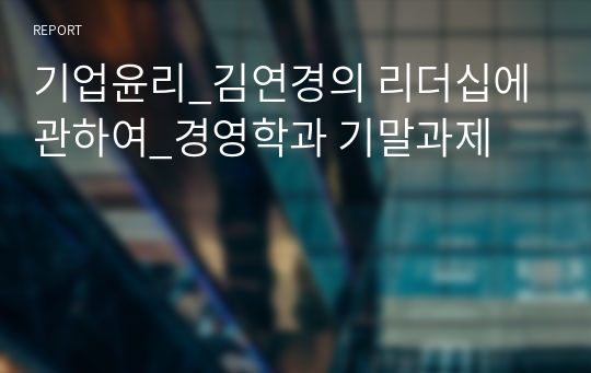 기업윤리_김연경의 리더십에 관하여_경영학과 기말과제