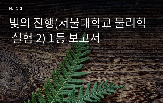 빛의 진행(서울대학교 물리학 실험 2) 1등 보고서