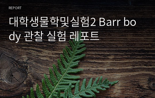 대학생물학및실험2 Barr body 관찰 실험 레포트