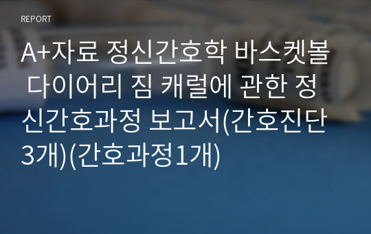 A+자료 정신간호학 바스켓볼 다이어리 짐 캐럴에 관한 정신간호과정 보고서(간호진단3개)(간호과정1개)