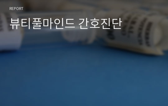 뷰티풀마인드 간호진단