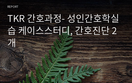 TKR 간호과정- 성인간호학실습 케이스스터디, 간호진단 2개