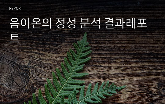 음이온의 정성 분석 결과레포트