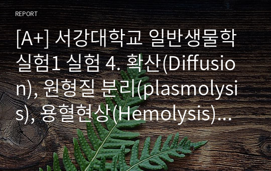 [A+] 서강대학교 일반생물학실험1 실험 4. 확산(Diffusion), 원형질 분리(plasmolysis), 용혈현상(Hemolysis) 풀레포트