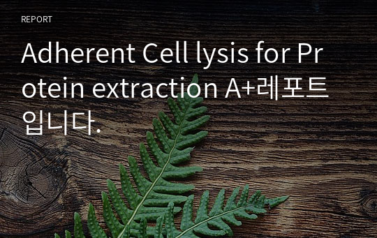 Adherent Cell lysis for Protein extraction A+레포트입니다.