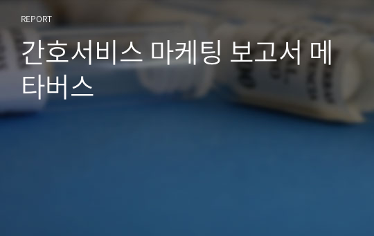 간호서비스 마케팅 보고서 메타버스