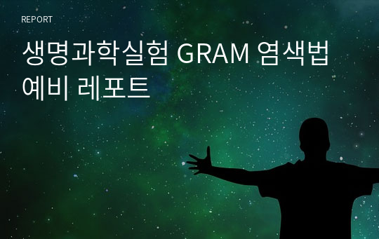 생명과학실험 GRAM 염색법 예비 레포트