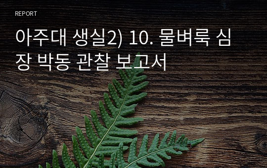 아주대 생실2) 10. 물벼룩 심장 박동 관찰 보고서