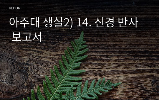 아주대 생실2) 14. 신경 반사 보고서