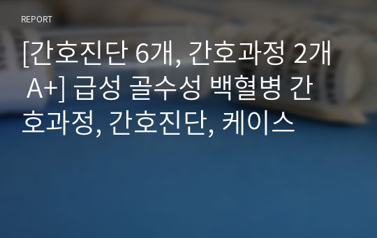 [간호진단 6개, 간호과정 2개 A+] 급성 골수성 백혈병 간호과정, 간호진단, 케이스