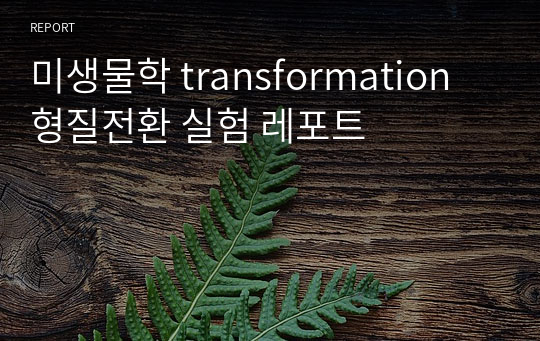 미생물학 transformation 형질전환 실험 레포트