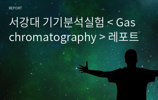 서강대 기기분석실험 &lt; Gas chromatography &gt; 레포트