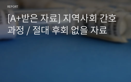 [A+받은 자료] 지역사회 간호과정 / 절대 후회 없을 자료