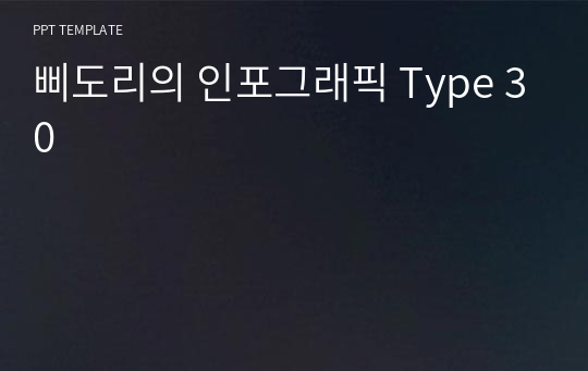 삐도리의 인포그래픽 Type 30