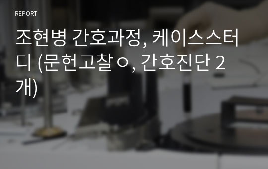 조현병 간호과정, 케이스스터디 (문헌고찰ㅇ, 간호진단 2개)