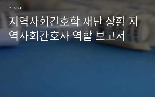 지역사회간호학 재난 상황 지역사회간호사 역할 보고서