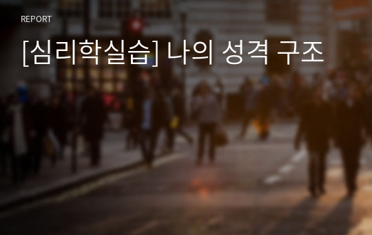 [심리학실습] 나의 성격 구조