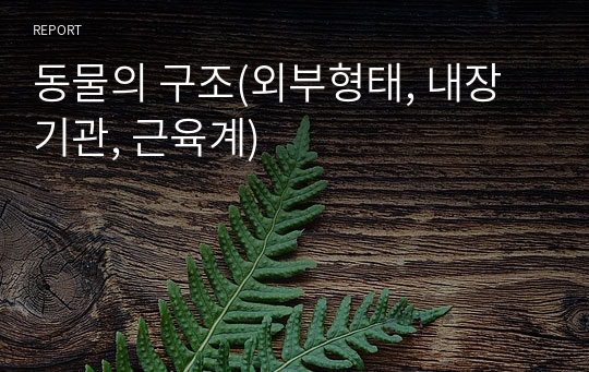 동물의 구조(외부형태, 내장기관, 근육계)