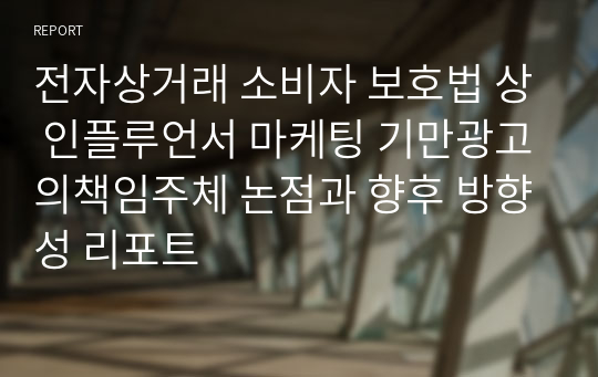 전자상거래 소비자 보호법 상 인플루언서 마케팅 기만광고의책임주체 논점과 향후 방향성 리포트