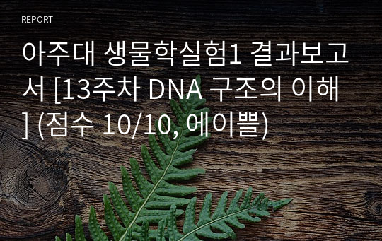 아주대 생물학실험1 결과보고서 [13주차 DNA 구조의 이해] (점수 10/10, 에이쁠)