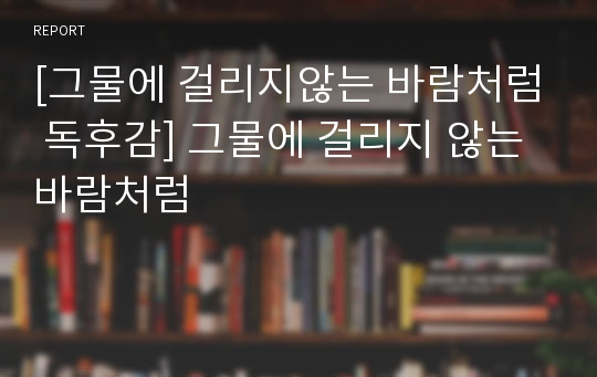 [그물에 걸리지않는 바람처럼 독후감] 그물에 걸리지 않는 바람처럼