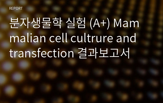 분자생물학 실험 (A+) Mammalian cell cultrure and transfection 결과보고서