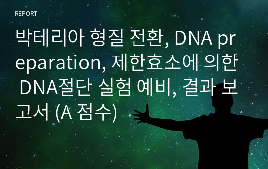 박테리아 형질 전환, DNA preparation, 제한효소에 의한 DNA절단 실험 예비, 결과 보고서 (A 점수)