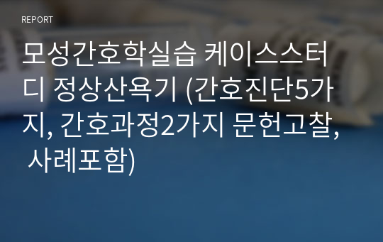 모성간호학실습 케이스스터디 정상산욕기 (간호진단5가지, 간호과정2가지 문헌고찰, 사례포함)